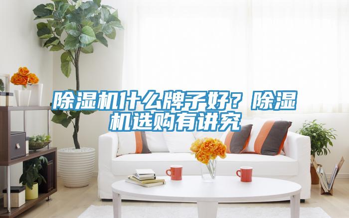 除湿机什么牌子好？除湿机选购有讲究