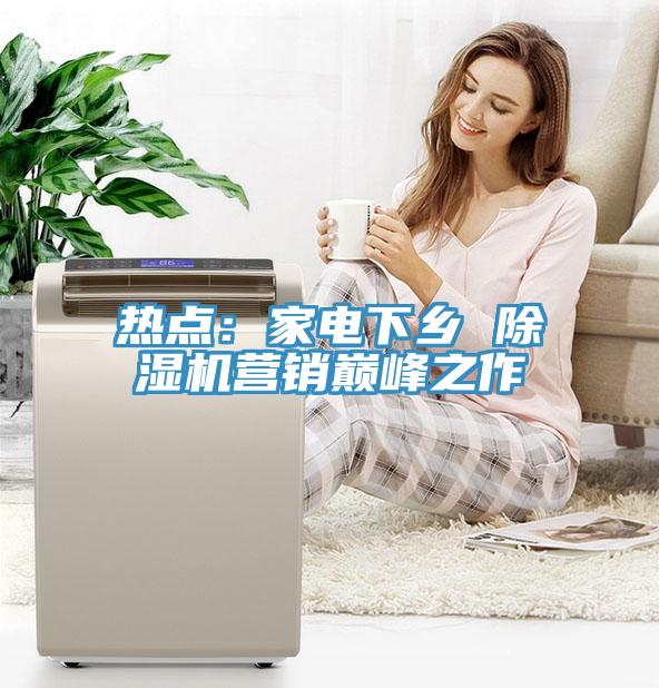 热点：家电下乡 除湿机营销巅峰之作