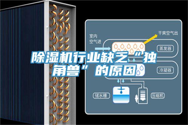 除湿机行业缺乏“独角兽”的原因