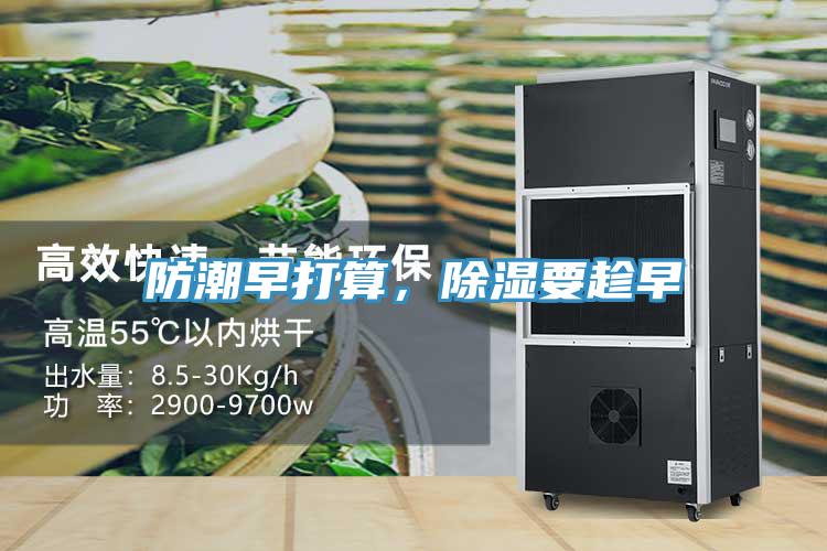 防潮早打算，除湿要趁早