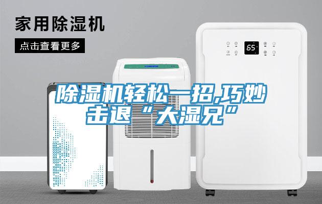 除湿机轻松一招,巧妙击退“大湿兄”