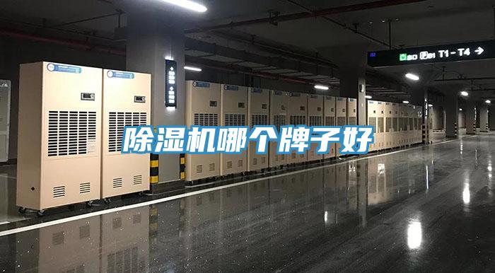 除湿机哪个牌子好