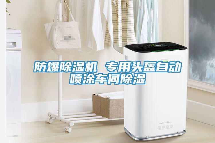 防爆除湿机 专用头盔自动喷涂车间除湿