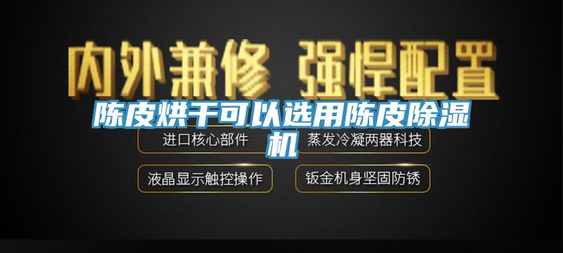陈皮烘干可以选用陈皮除湿机