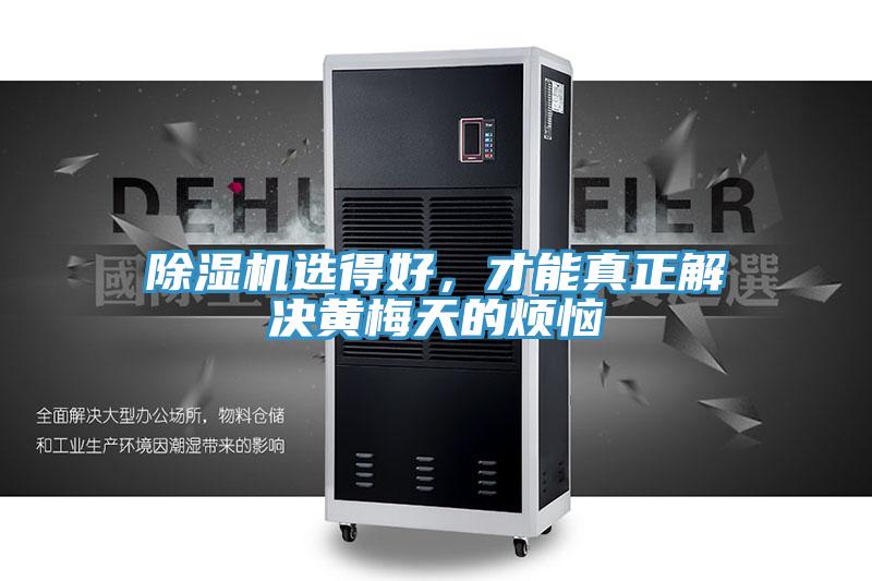 除湿机选得好，才能真正解决黄梅天的烦恼