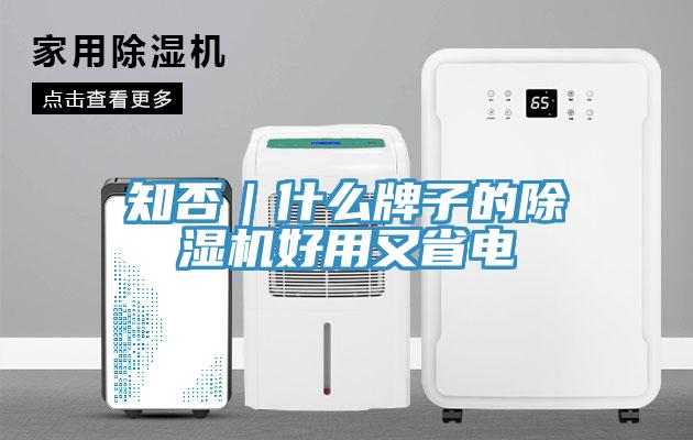 知否｜什么牌子的除湿机好用又省电