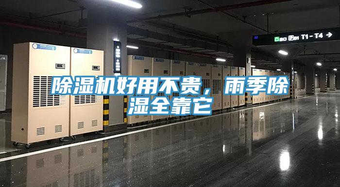 除湿机好用不贵，雨季除湿全靠它