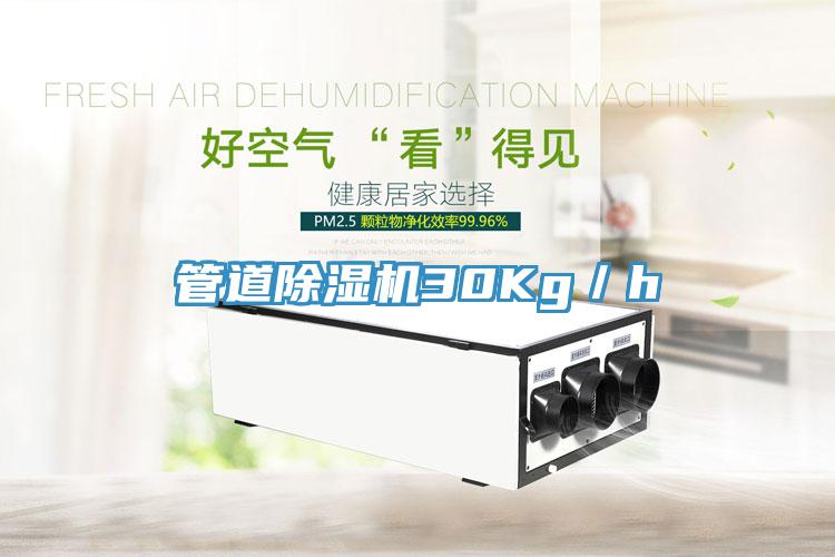 管道除湿机30Kg／h