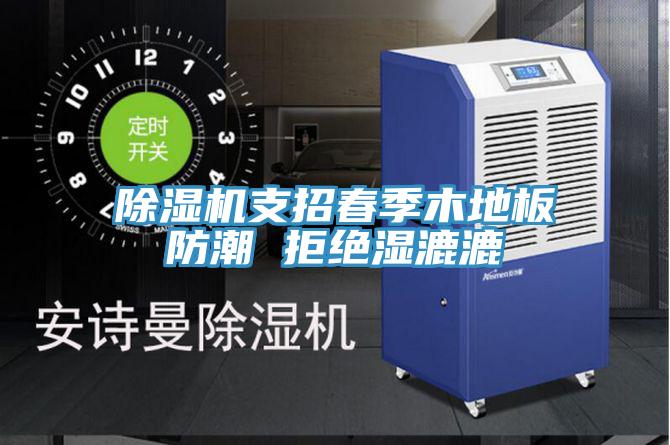 除湿机支招春季木地板防潮 拒绝湿漉漉