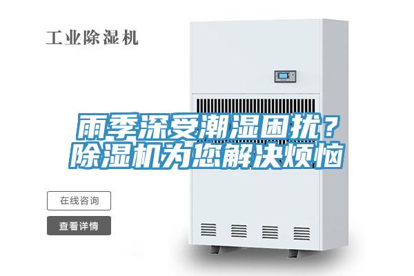 雨季深受潮湿困扰？除湿机为您解决烦恼