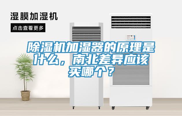 除湿机加湿器的原理是什么，南北差异应该买哪个？