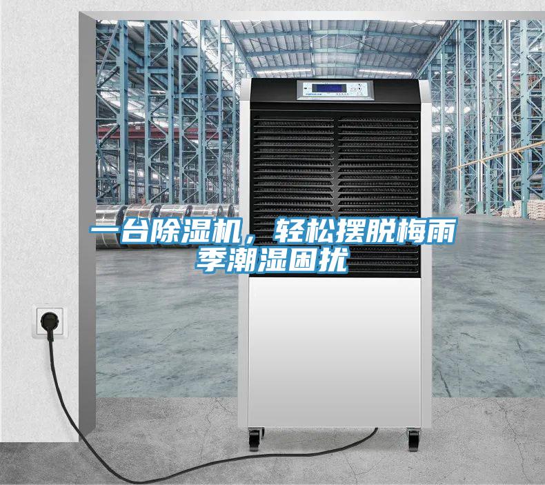 一台除湿机，轻松摆脱梅雨季潮湿困扰