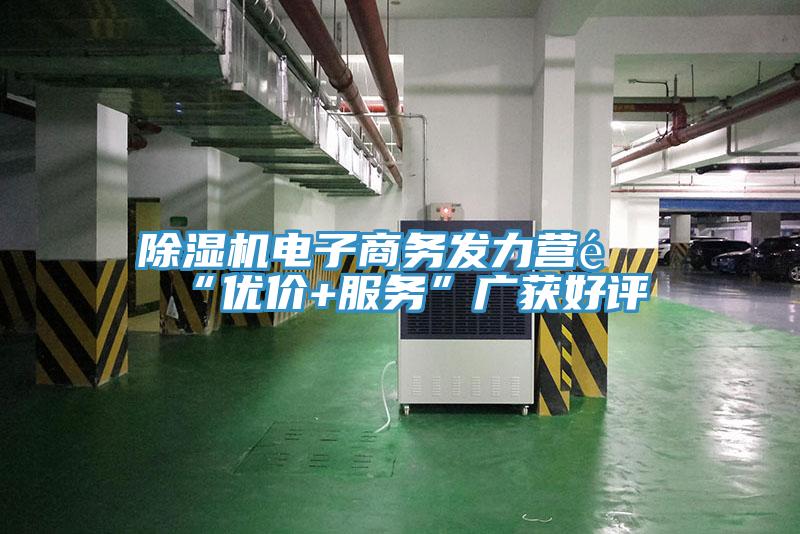除湿机电子商务发力营销“优价+服务”广获好评