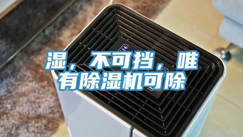 湿，不可挡，唯有除湿机可除
