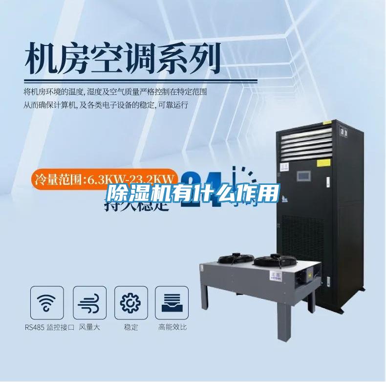 除湿机有什么作用
