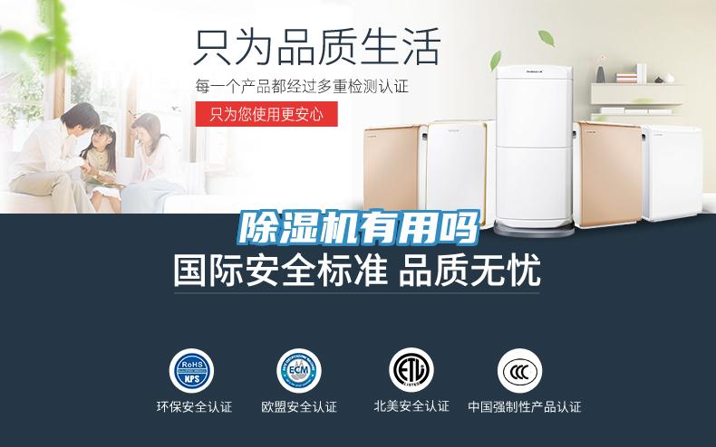除湿机有用吗