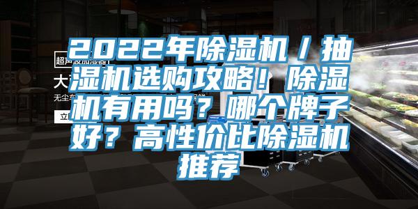 2022年除湿机／抽湿机选购攻略！除湿机有用吗？哪个牌子好？高性价比除湿机推荐