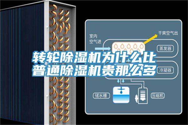 转轮除湿机为什么比普通除湿机贵那么多
