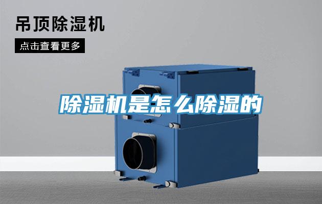 除湿机是怎么除湿的