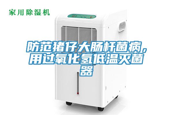 防范猪仔大肠杆菌病，用过氧化氢低温灭菌器