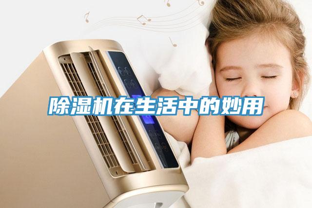 除湿机在生活中的妙用