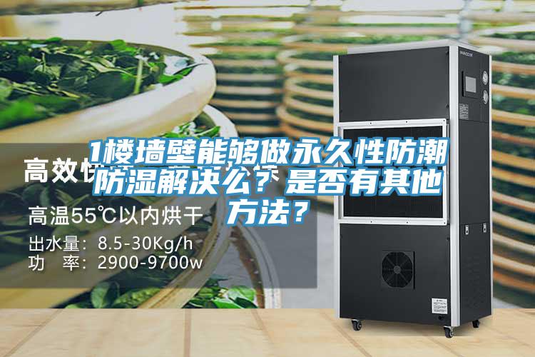 1楼墙壁能够做永久性防潮防湿解决么？是否有其他方法？
