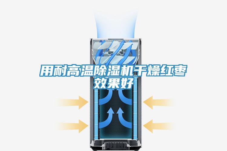 用耐高温除湿机干燥红枣效果好