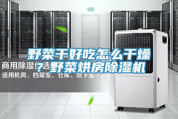 野菜干好吃怎么干燥？野菜烘房除湿机