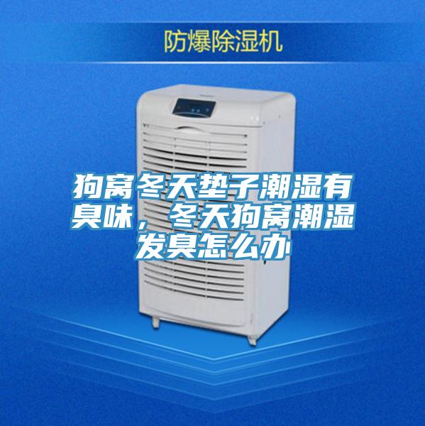 狗窝冬天垫子潮湿有臭味，冬天狗窝潮湿发臭怎么办