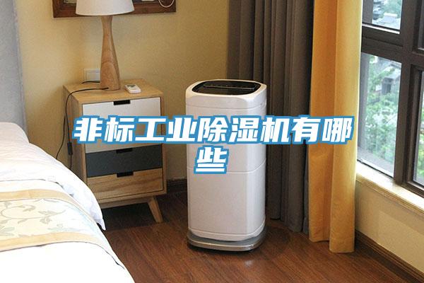 非标工业除湿机有哪些