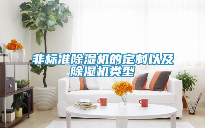 非标准除湿机的定制以及除湿机类型