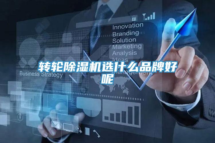 转轮除湿机选什么品牌好呢