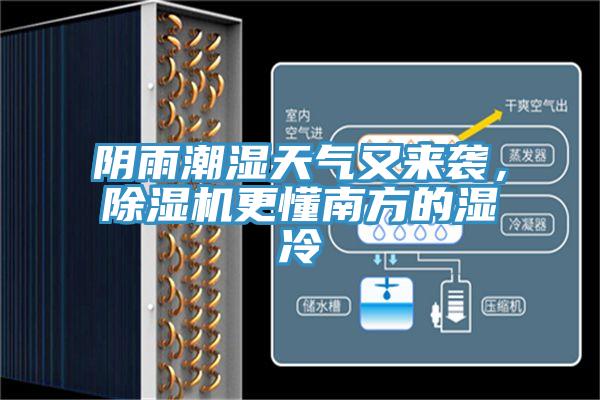 阴雨潮湿天气又来袭，除湿机更懂南方的湿冷