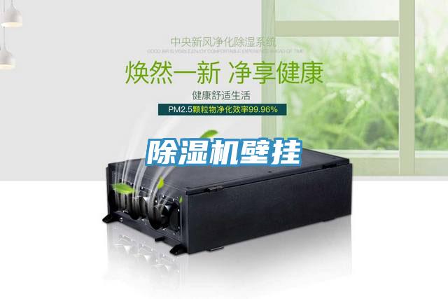 除湿机壁挂