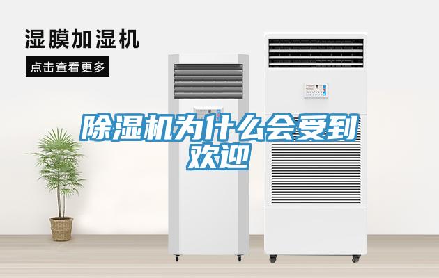 除湿机为什么会受到欢迎