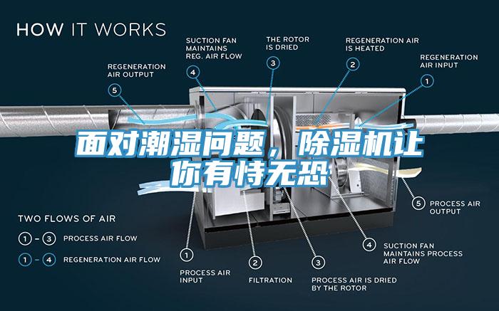 面对潮湿问题，除湿机让你有恃无恐
