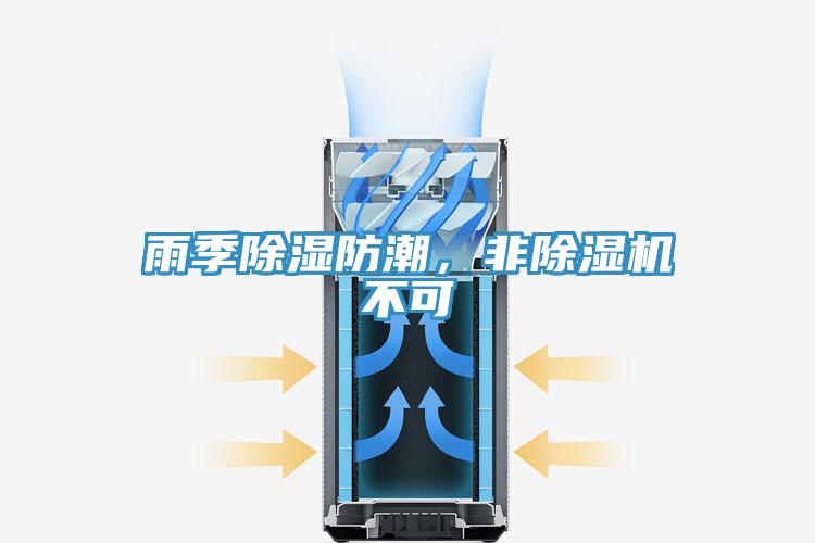 雨季除湿防潮，非除湿机不可
