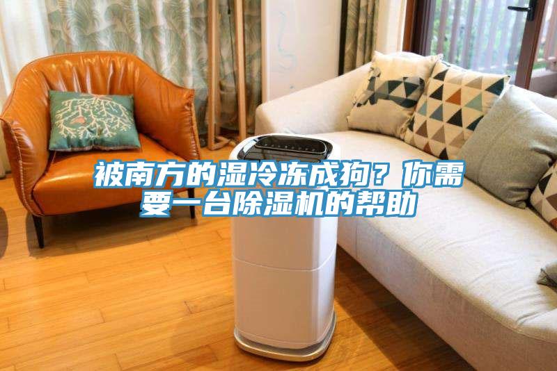 被南方的湿冷冻成狗？你需要一台除湿机的帮助