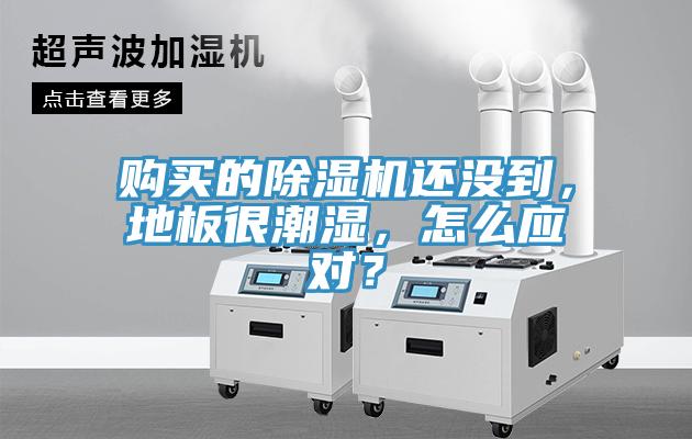 购买的除湿机还没到，地板很潮湿，怎么应对？
