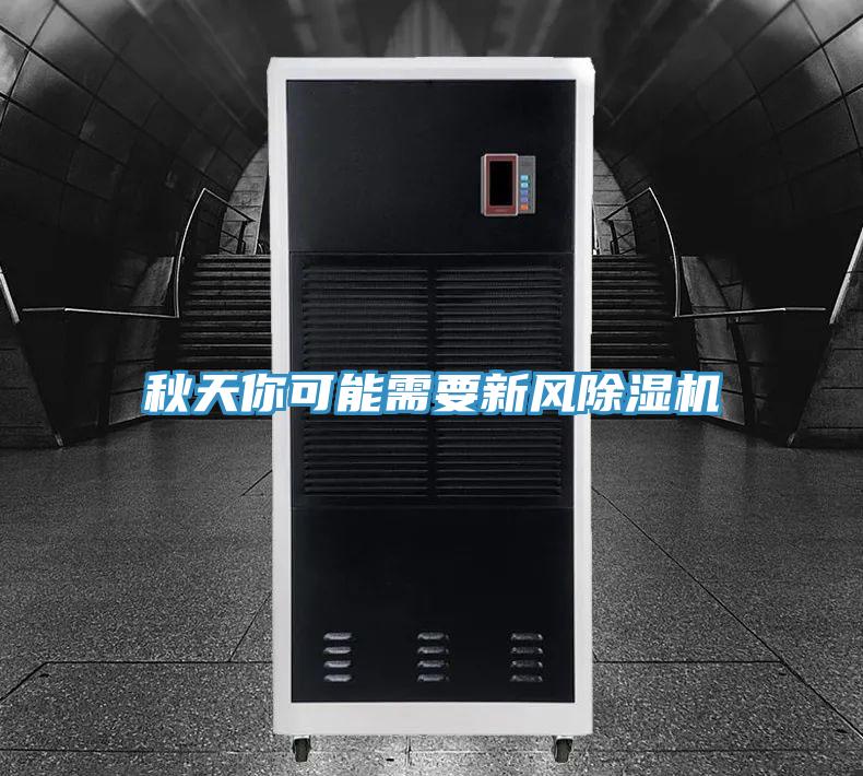 秋天你可能需要新风除湿机