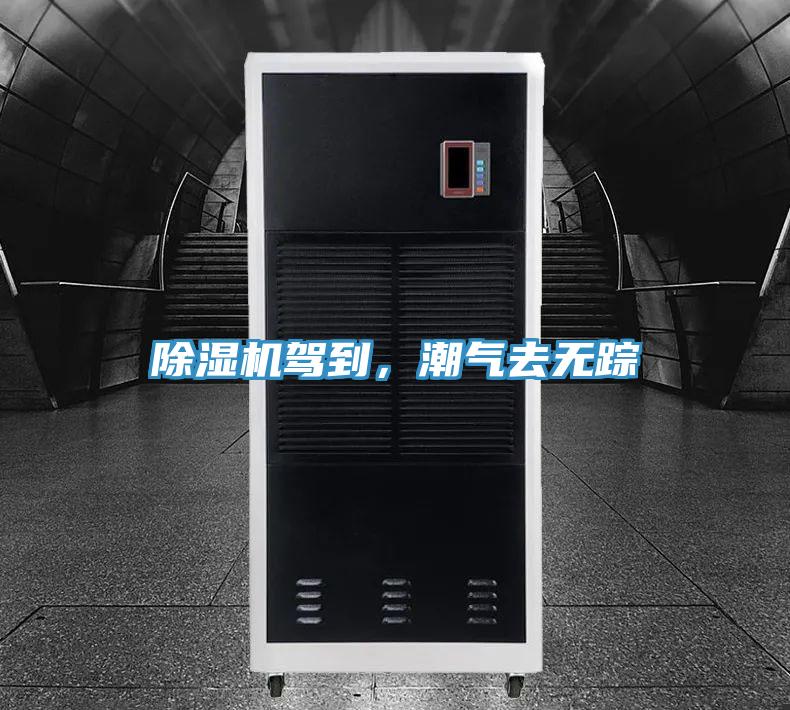 除湿机驾到，潮气去无踪