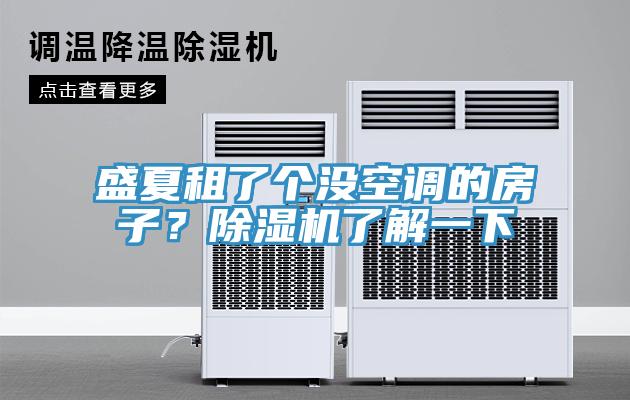 盛夏租了个没空调的房子？除湿机了解一下