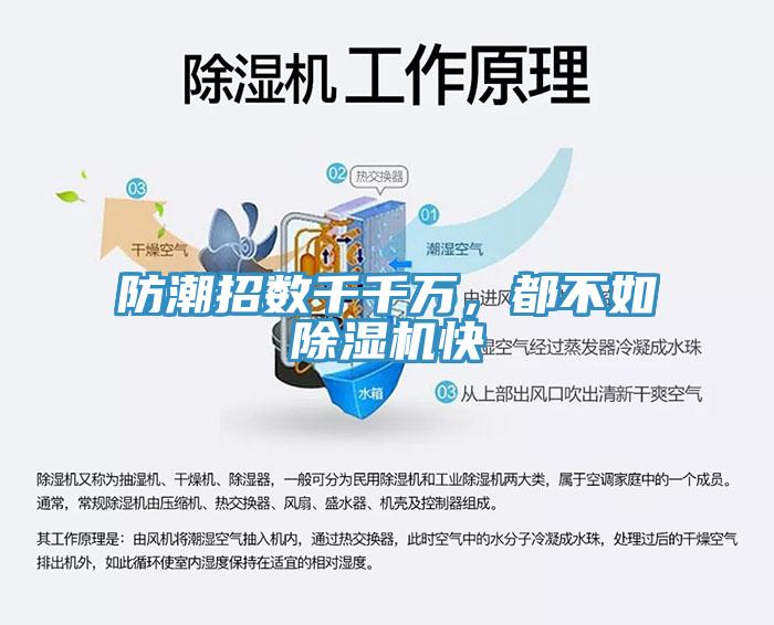 防潮招数千千万，都不如除湿机快