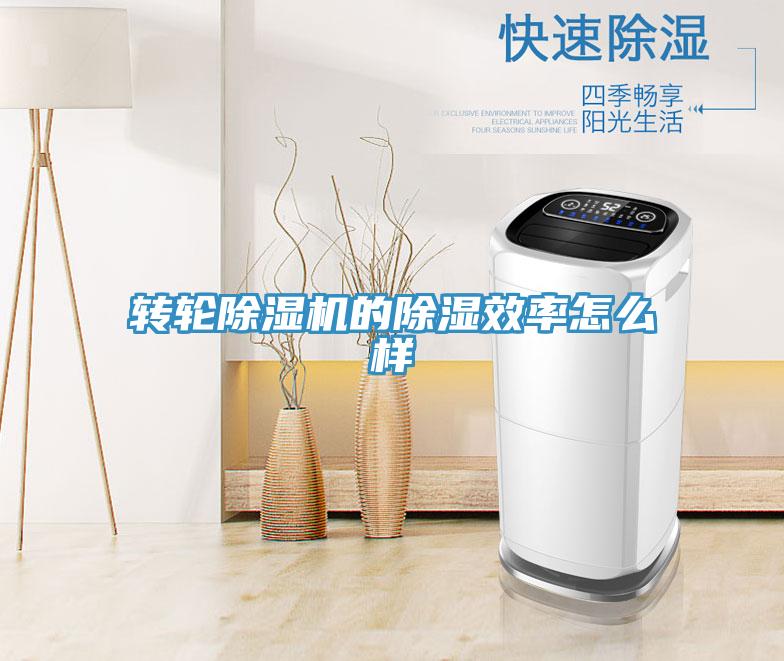 转轮除湿机的除湿效率怎么样