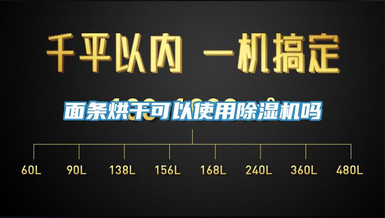 面条烘干可以使用除湿机吗