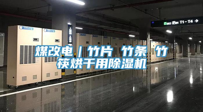 煤改电｜竹片 竹条 竹筷烘干用除湿机