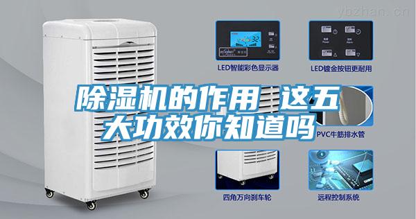 除湿机的作用 这五大功效你知道吗
