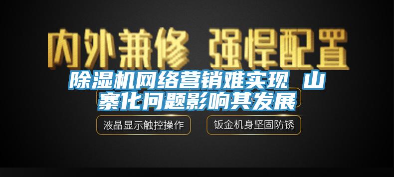 除湿机网络营销难实现 山寨化问题影响其发展