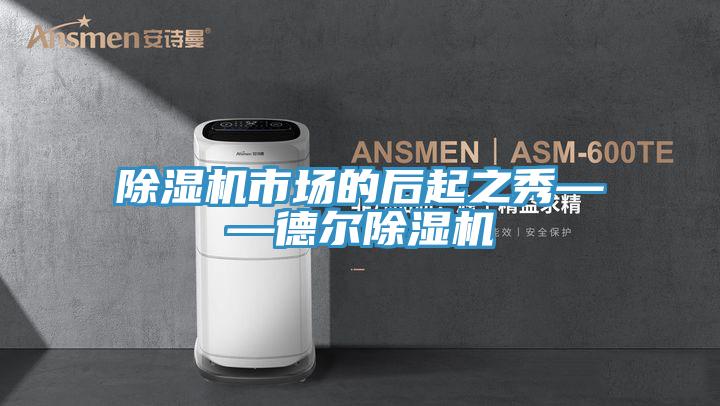 除湿机市场的后起之秀——德尔除湿机