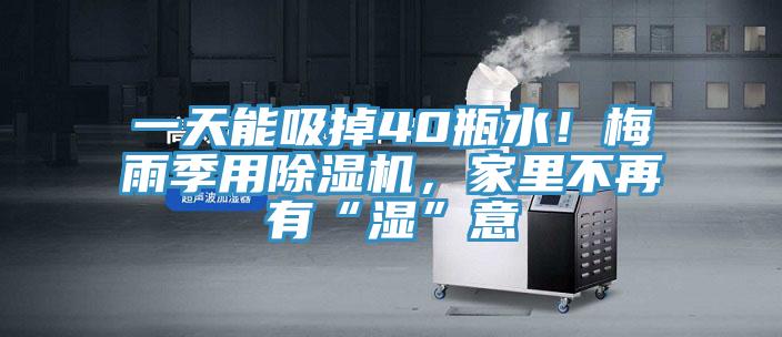 一天能吸掉40瓶水！梅雨季用除湿机，家里不再有“湿”意
